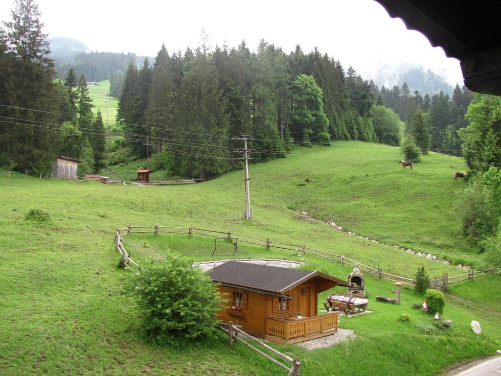 Haus Wallinger Abtenau Exterior foto